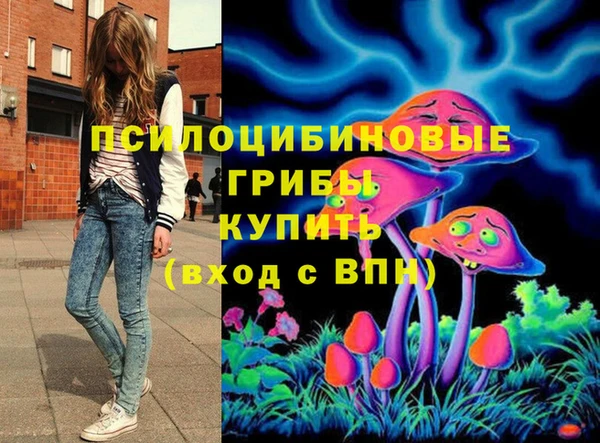 винт Елизово