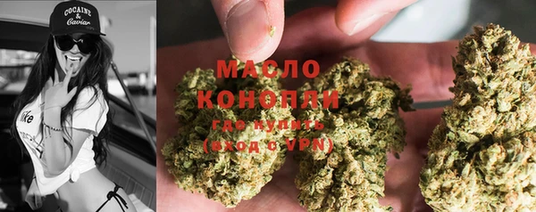 дмт Козловка