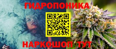 spice Беслан