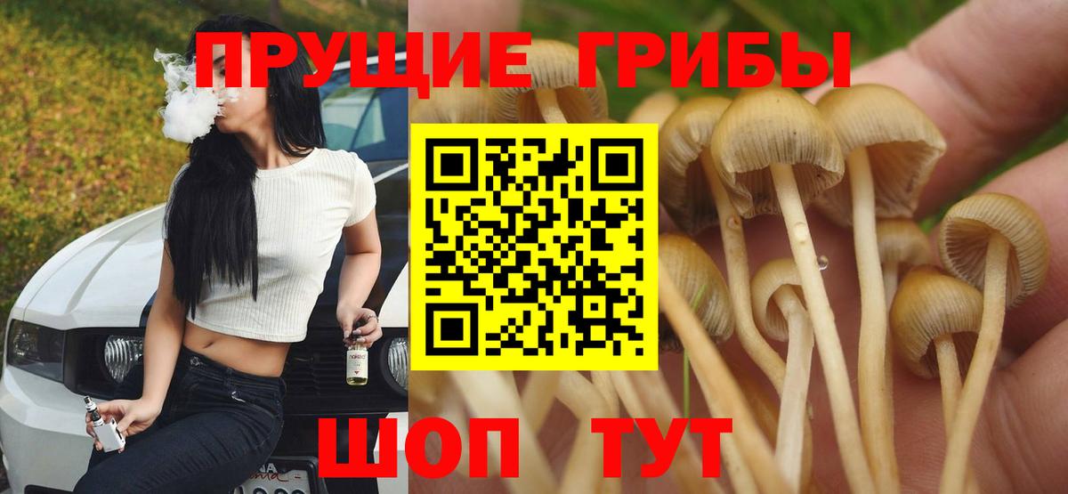 Галлюциногенные грибы Magic Shrooms Великий Устюг