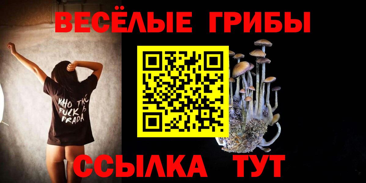 Великий Устюг  Псилоцибиновые грибы MAGIC MUSHROOMS  Псилоцибиновые грибы мицелий  Вход с VPN 