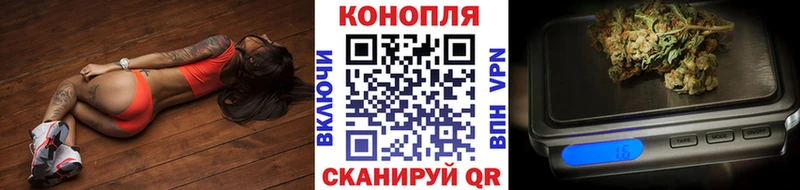 ОМГ ОМГ   Великий Устюг  Каннабис SATIVA & INDICA 